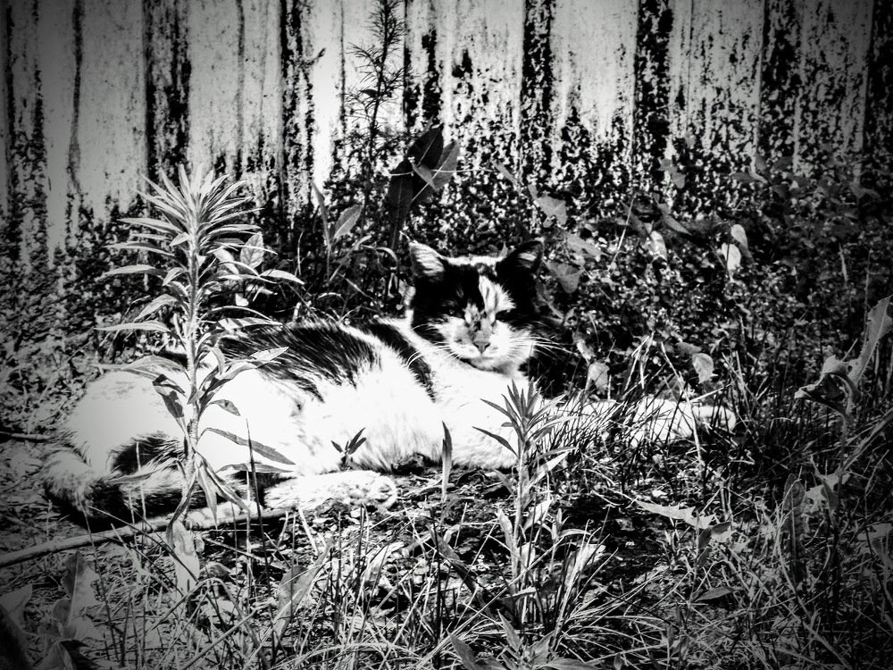 Photograph by Сергей Воронин