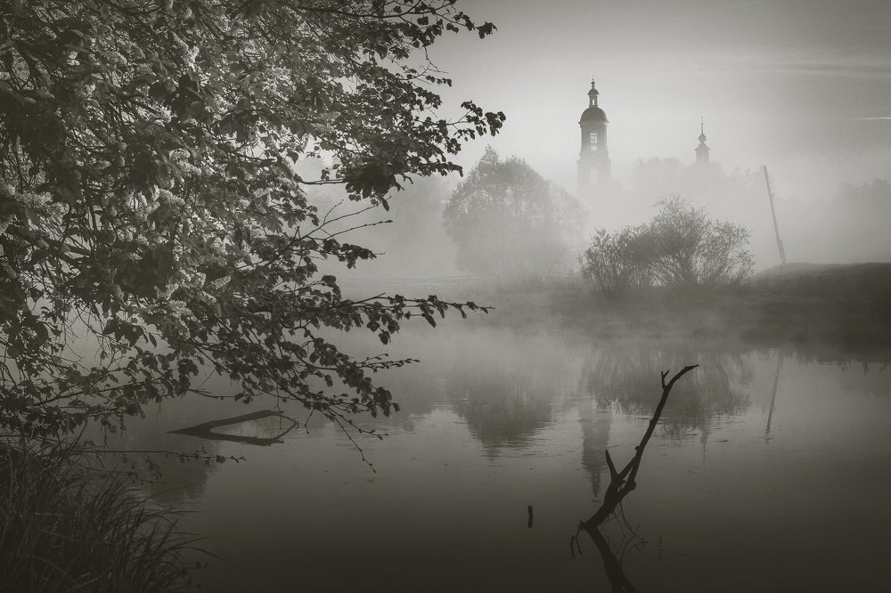 Расцвела черёмуха