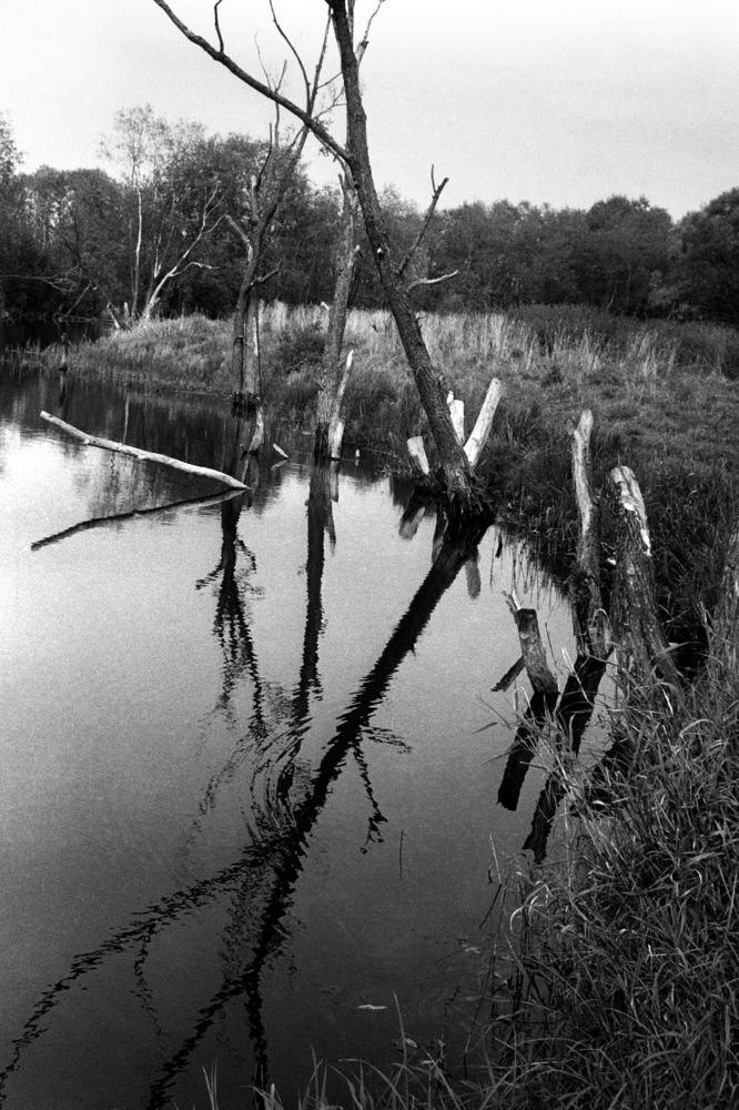 из серии "Старица".