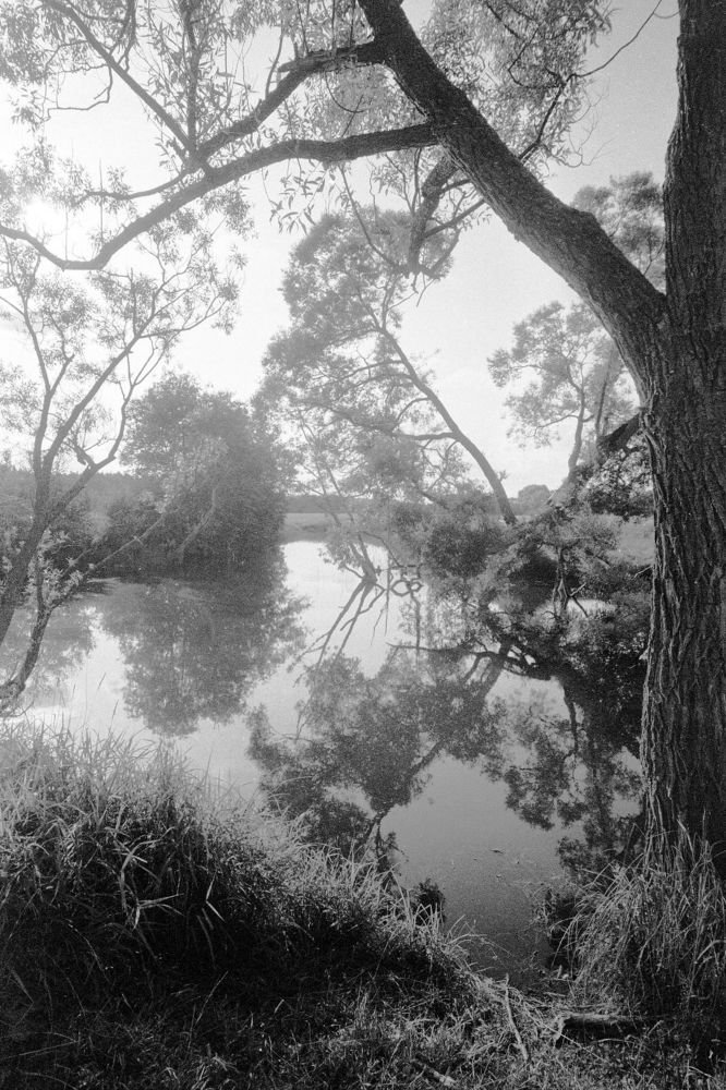 из серии "Старица".