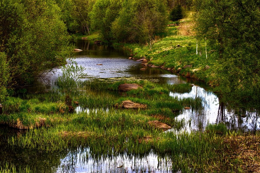 Photograph by Gaļina