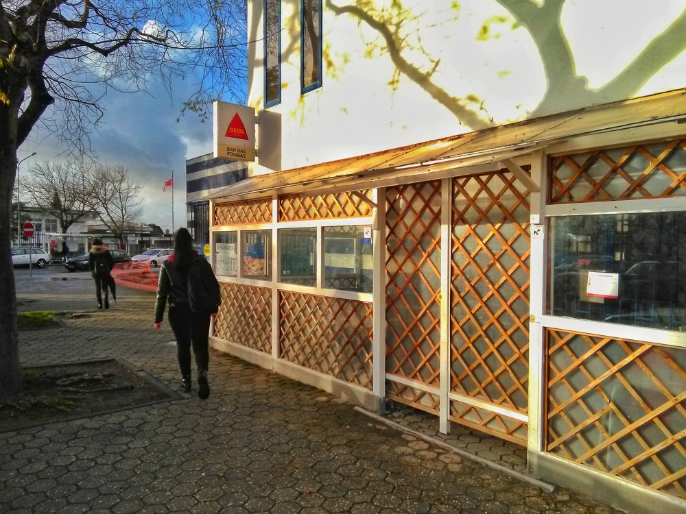 Photo #3235153