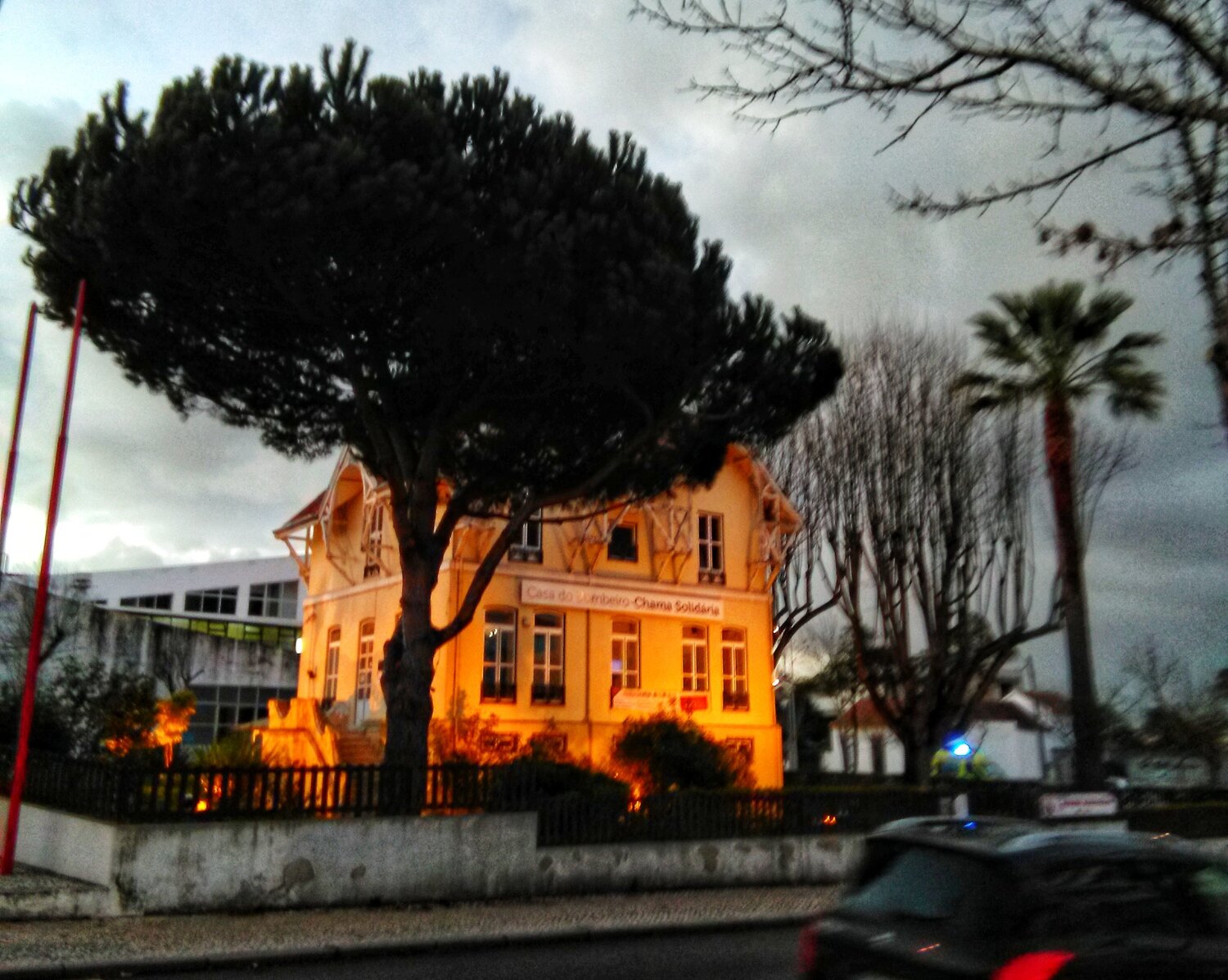Photo #3235181