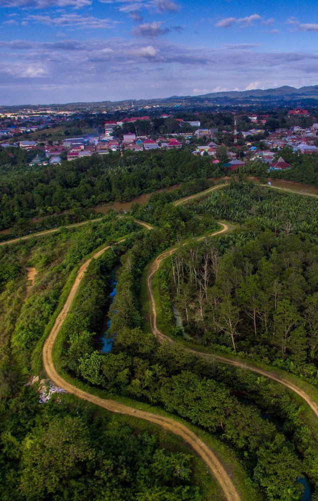 From Junggle to the city