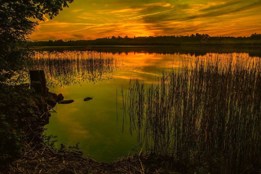 Photograph by Gaļina