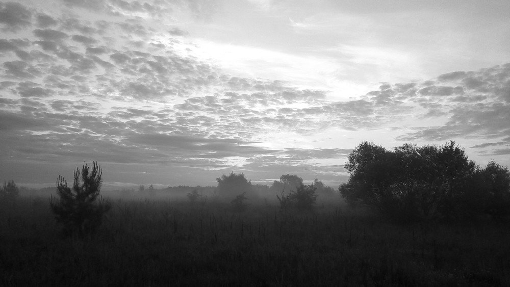 Photograph by Ivan Kotenko