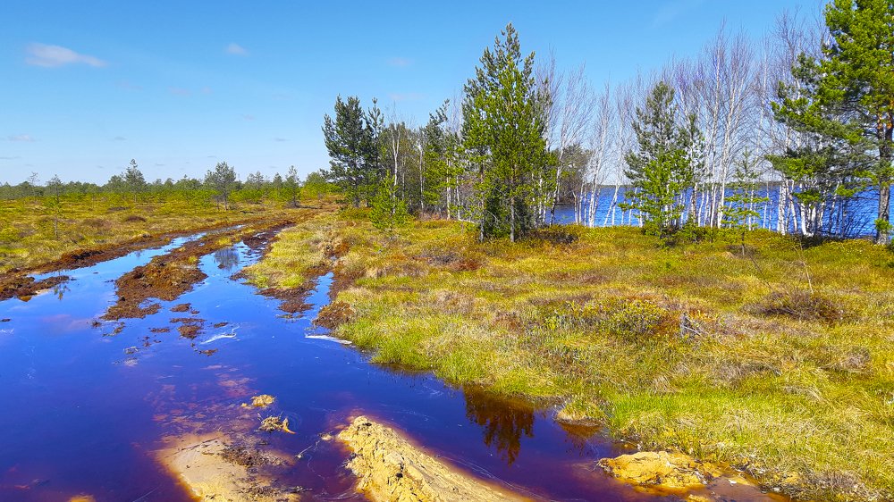 На распутье.