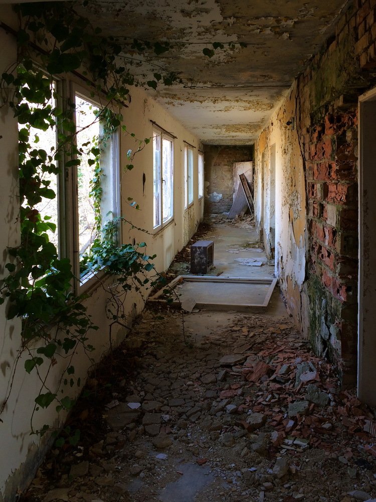 Photograph by Сергей Ладыгин