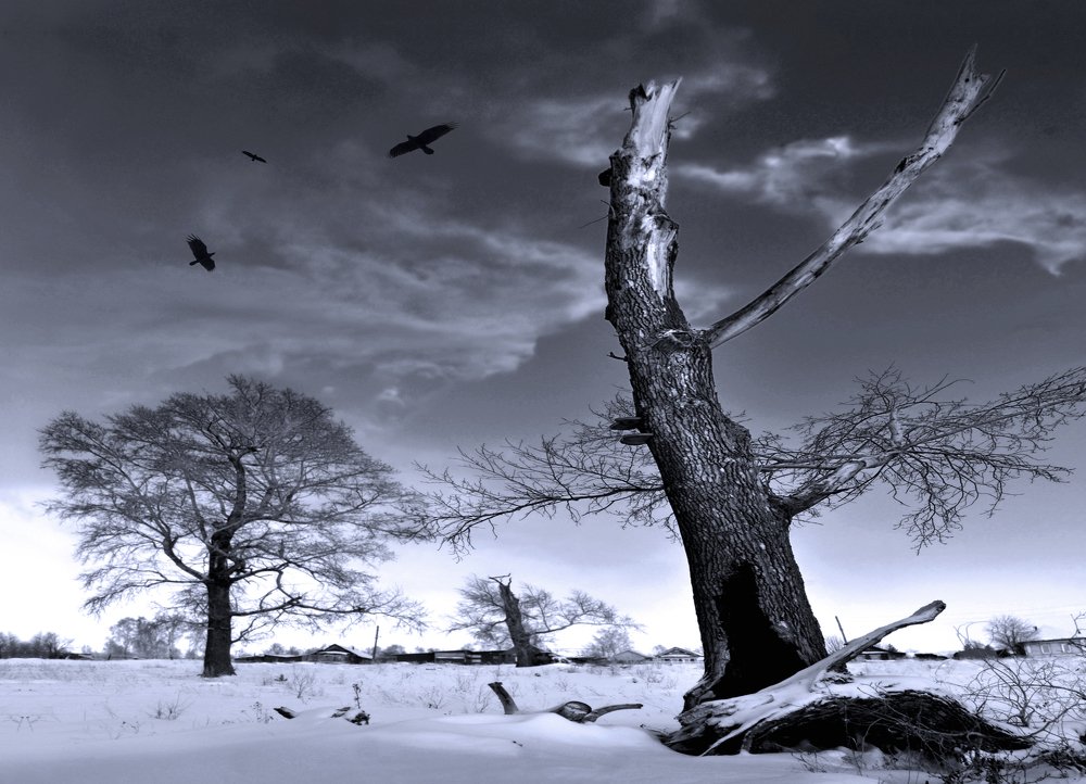 Такова жизнь...