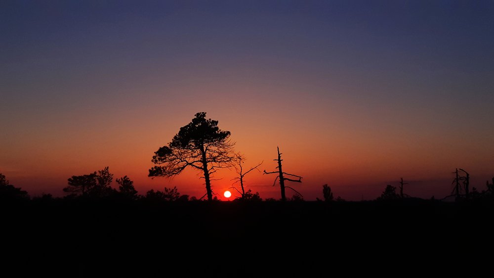 Северный закат