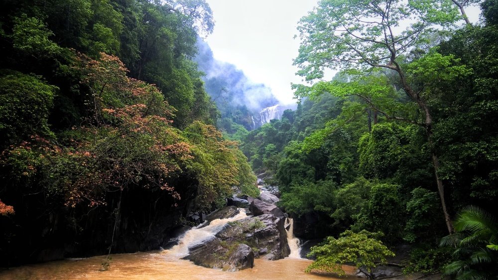 Falls