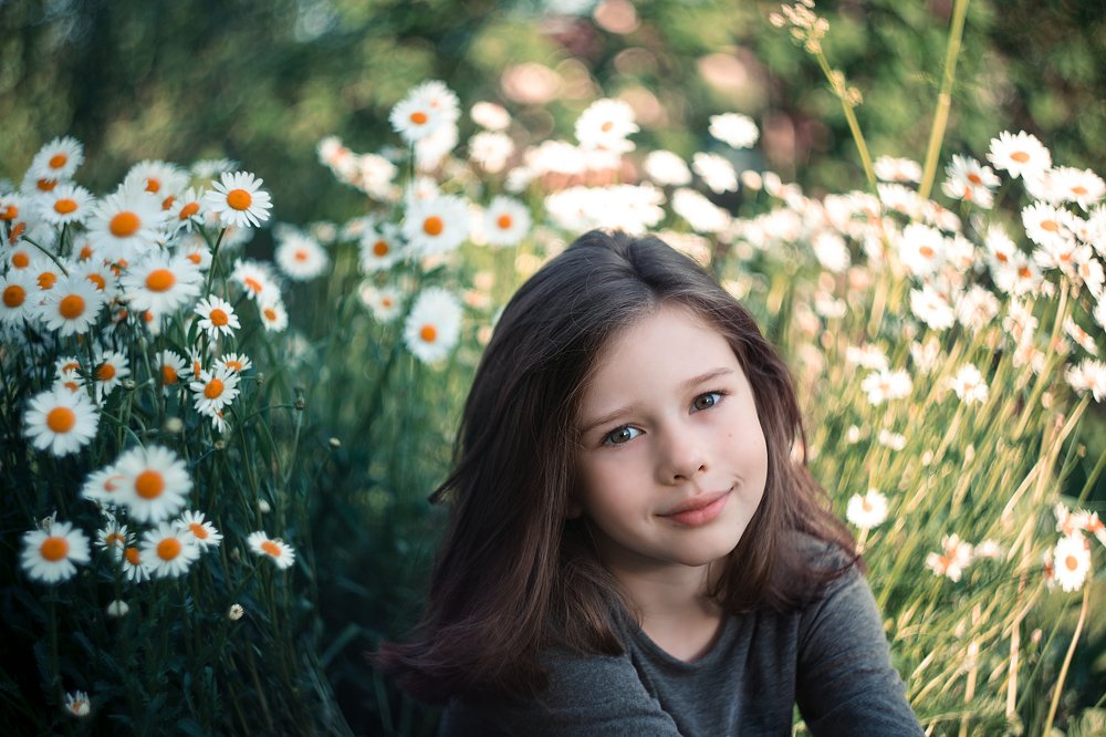 Daisies