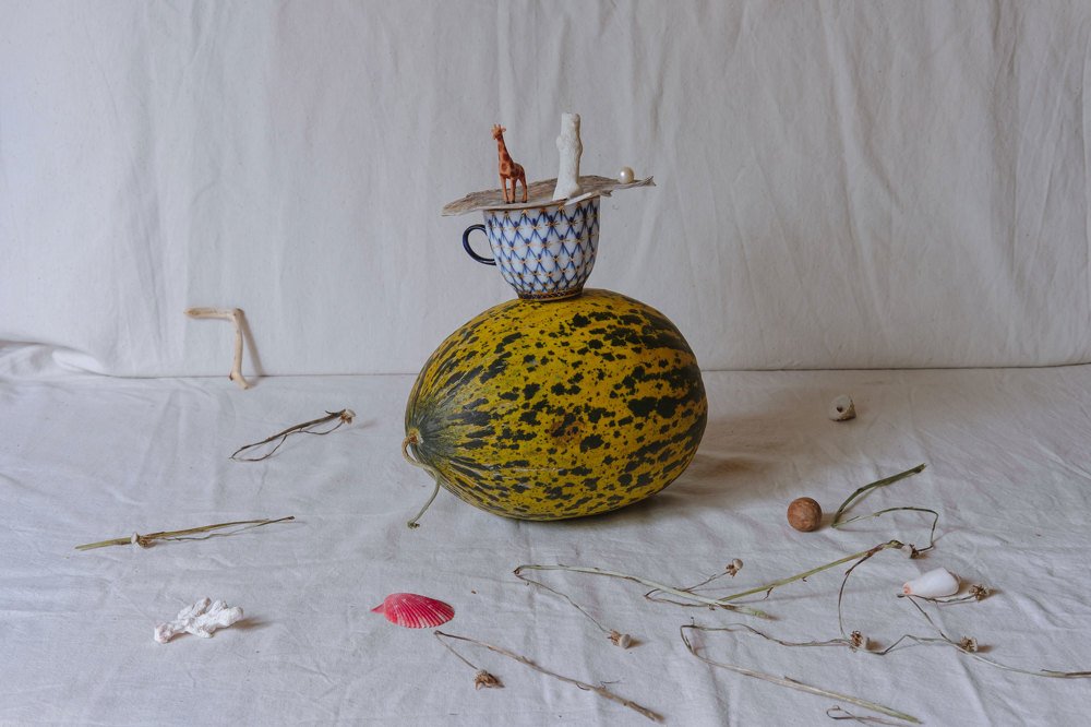 Натюрморт с Жирафом