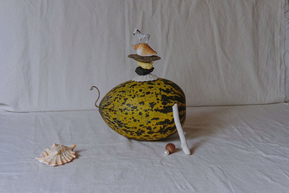 Натюрморт с Зеброй