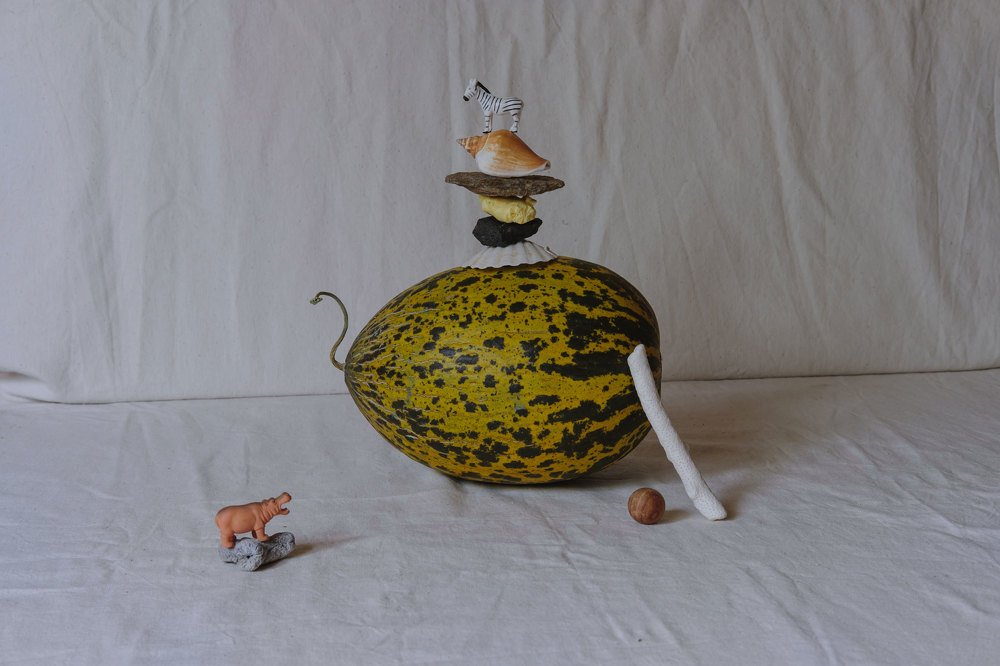 Натюрморт с Зеброй и Гиппопотамом