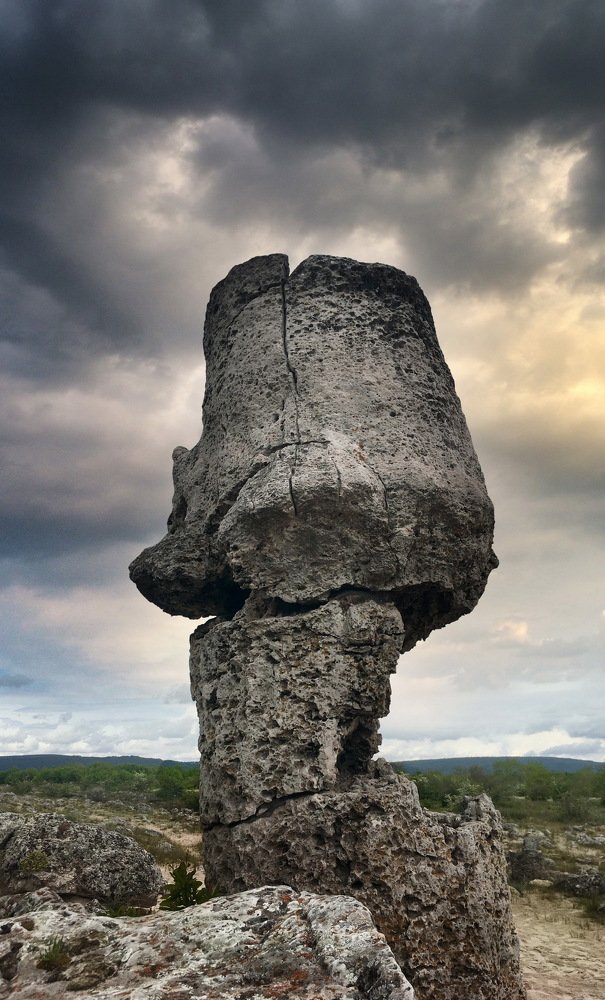 Стихии вопреки