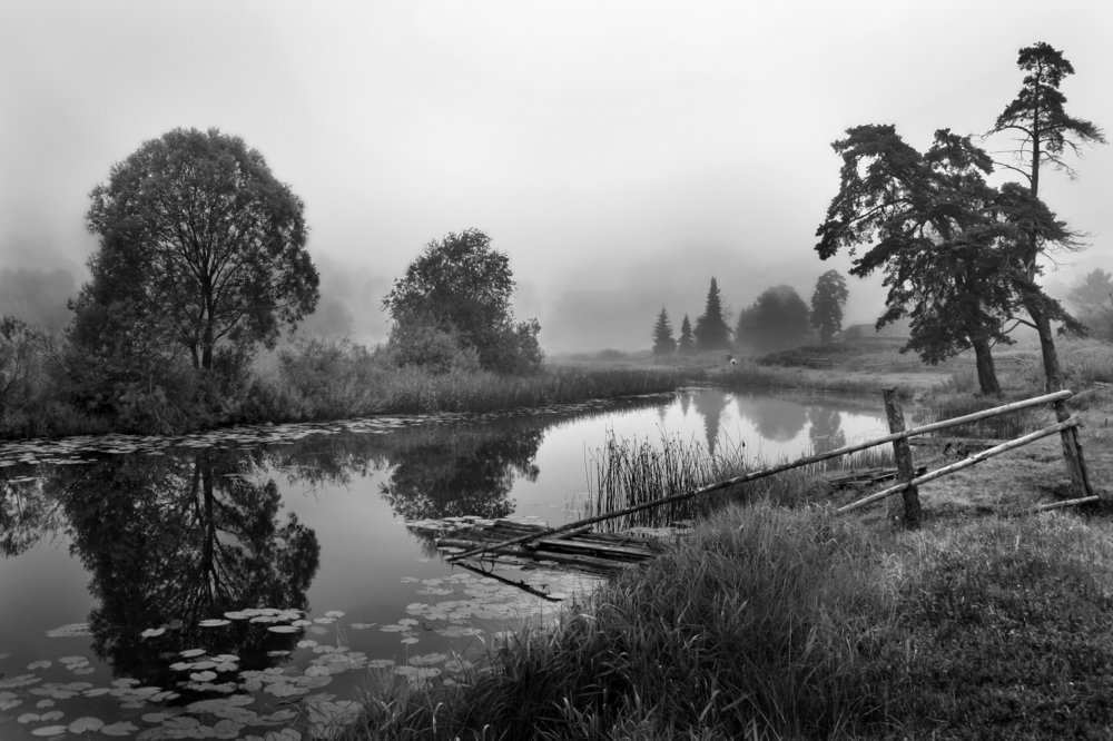 Утро у реки