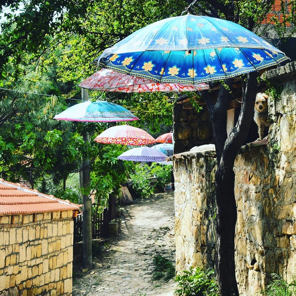 Umbrella Street