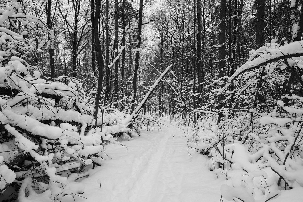 Photograph by Сергей Гордиенко