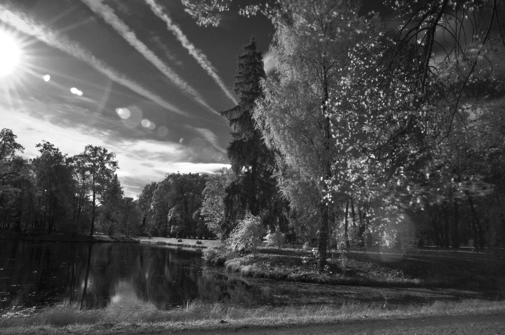 Осень в парке