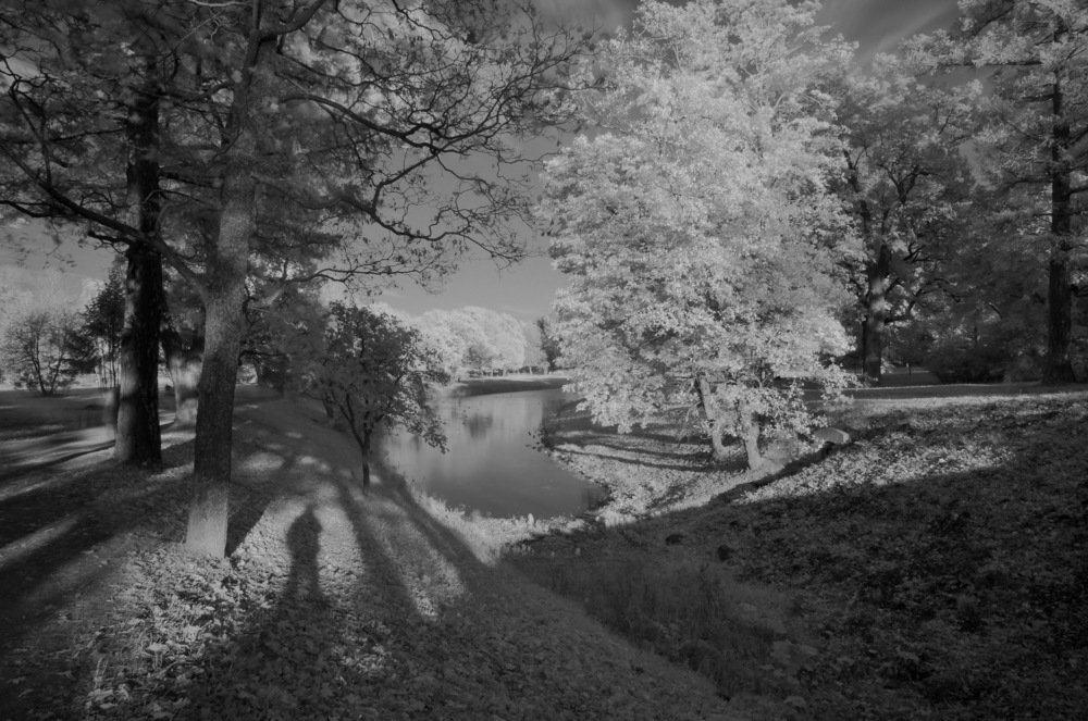 Екатерининский парк.