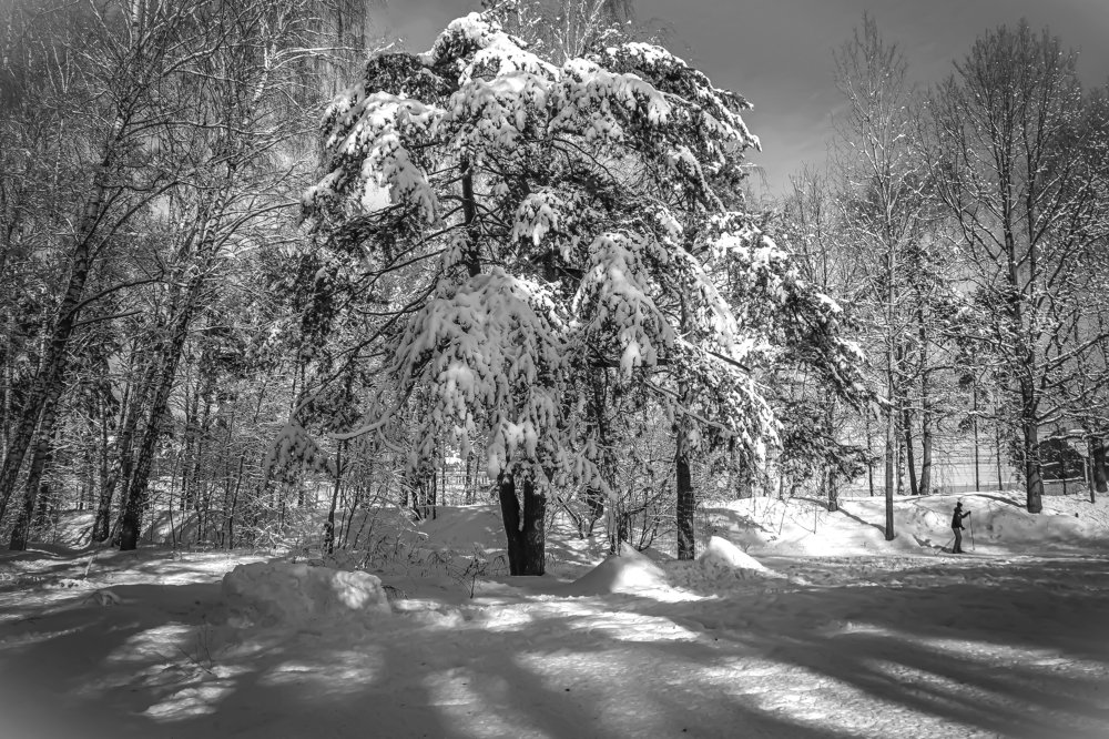 Мороз и солнце...