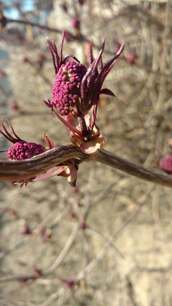 Photograph by Надежда