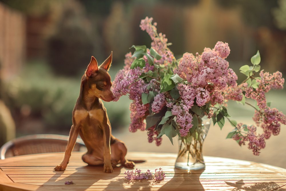 Photograph by Nadya Hiltova