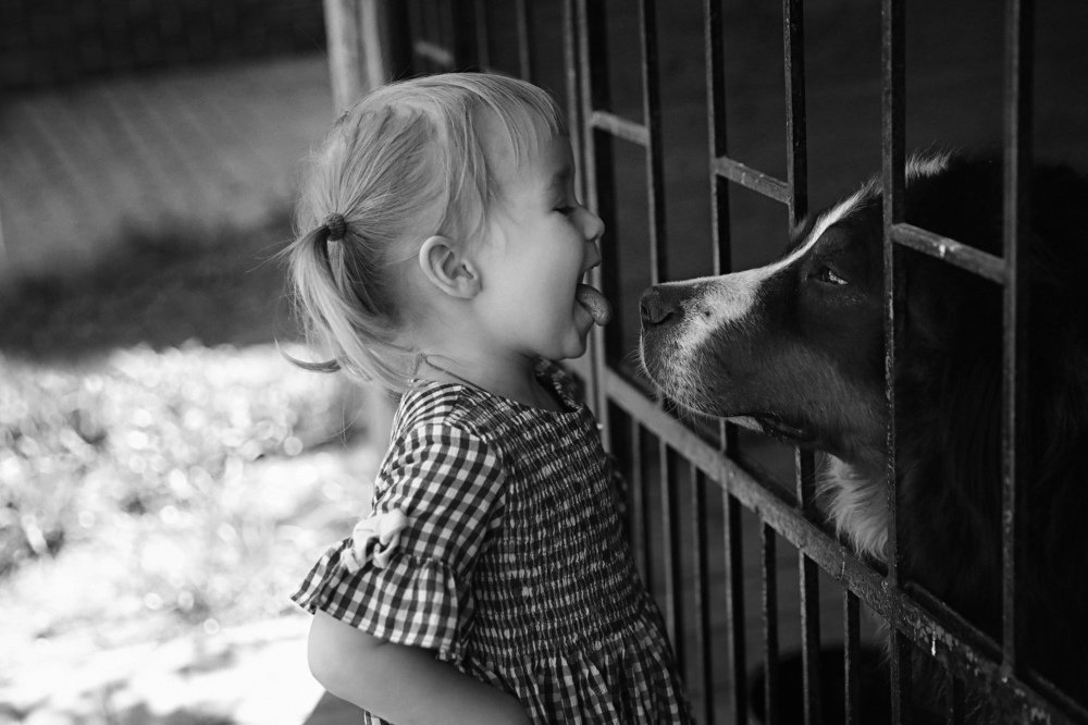 Photograph by Юлия Тимофеева