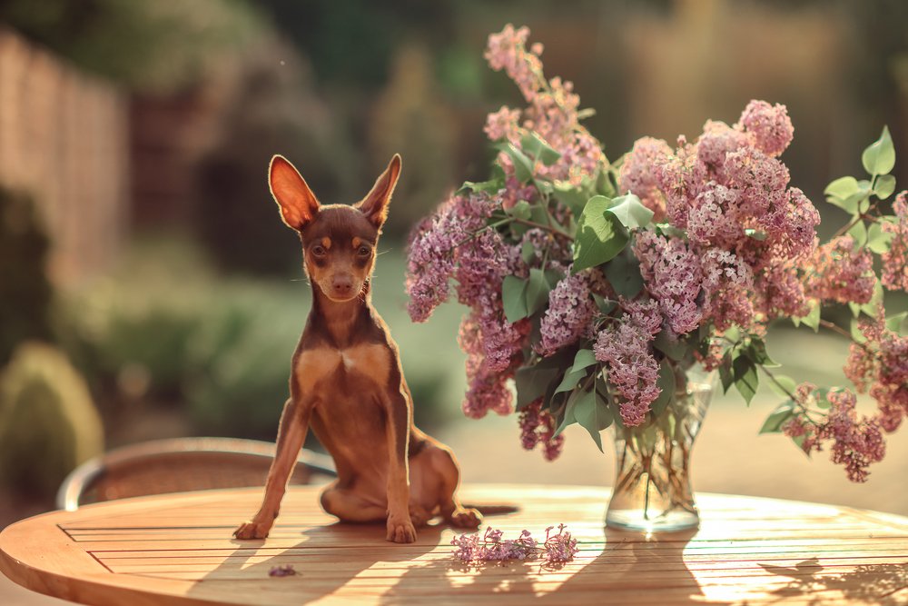 Photograph by Nadya Hiltova