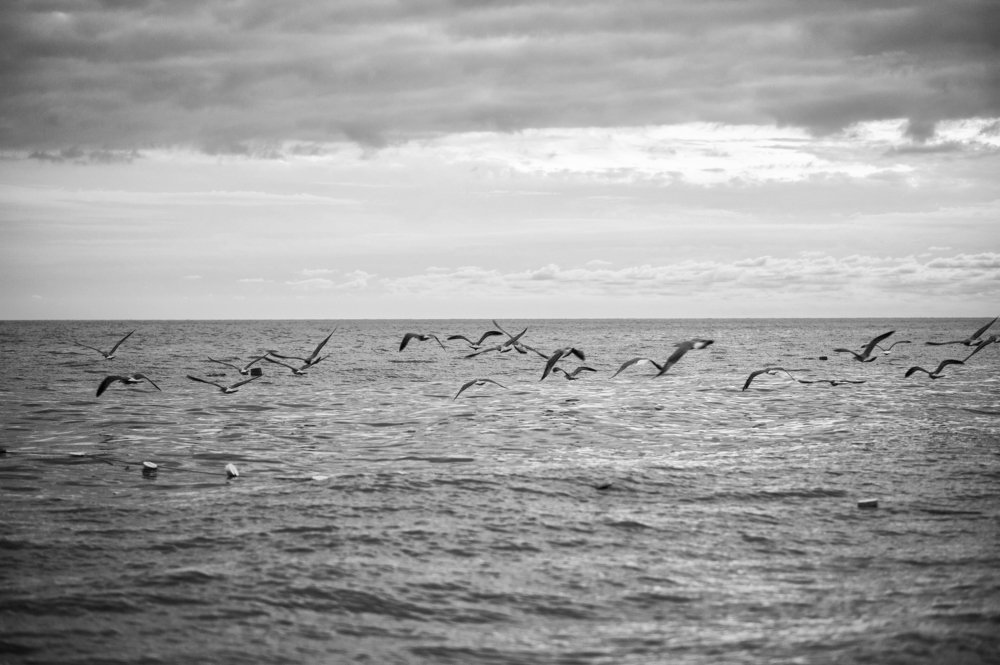 Пролетая над морем...