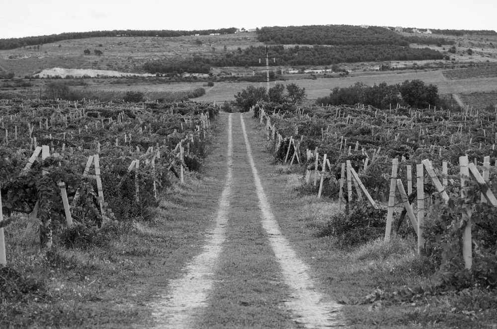 Путь детства...