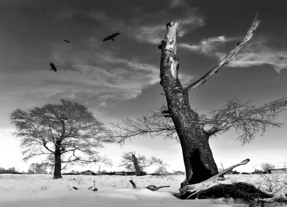 На пустыре...