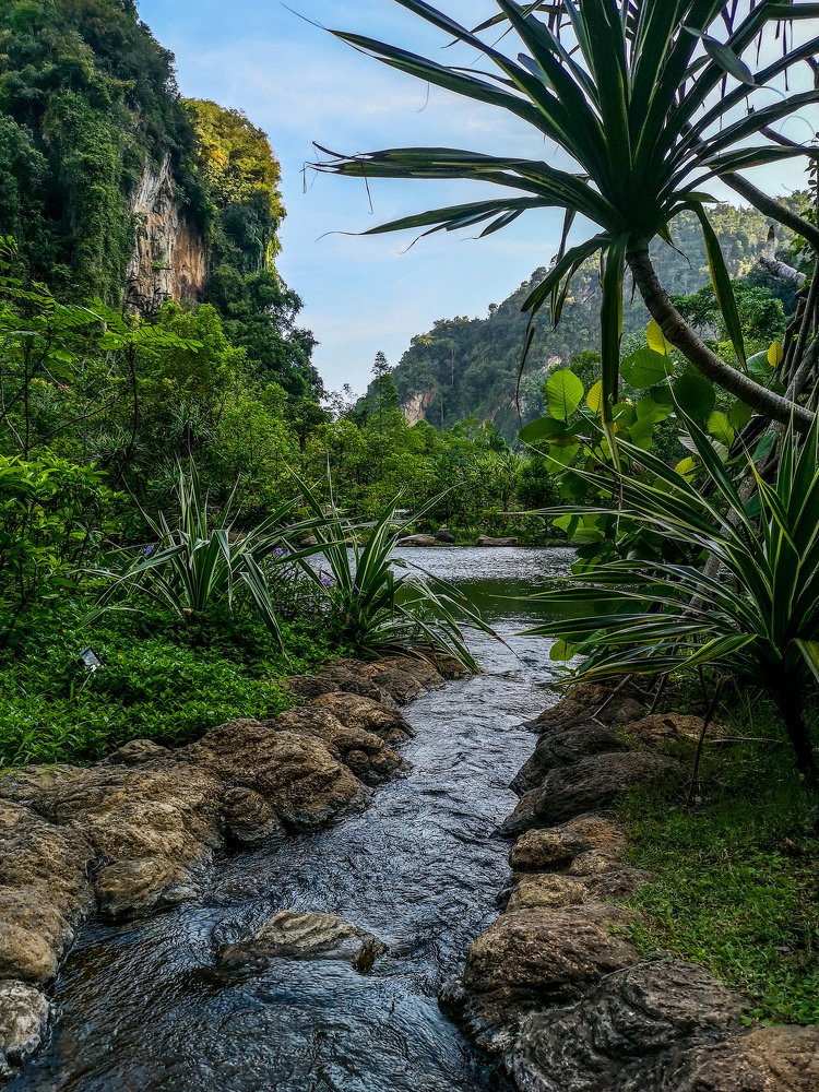 Nature mobile photography