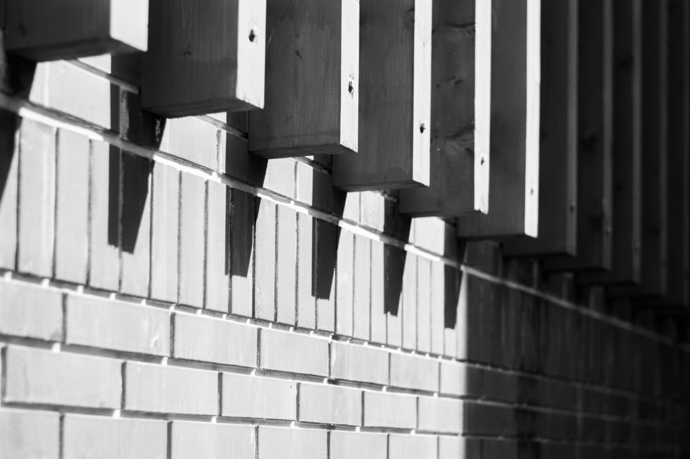 Photograph by Людмила Румянцева