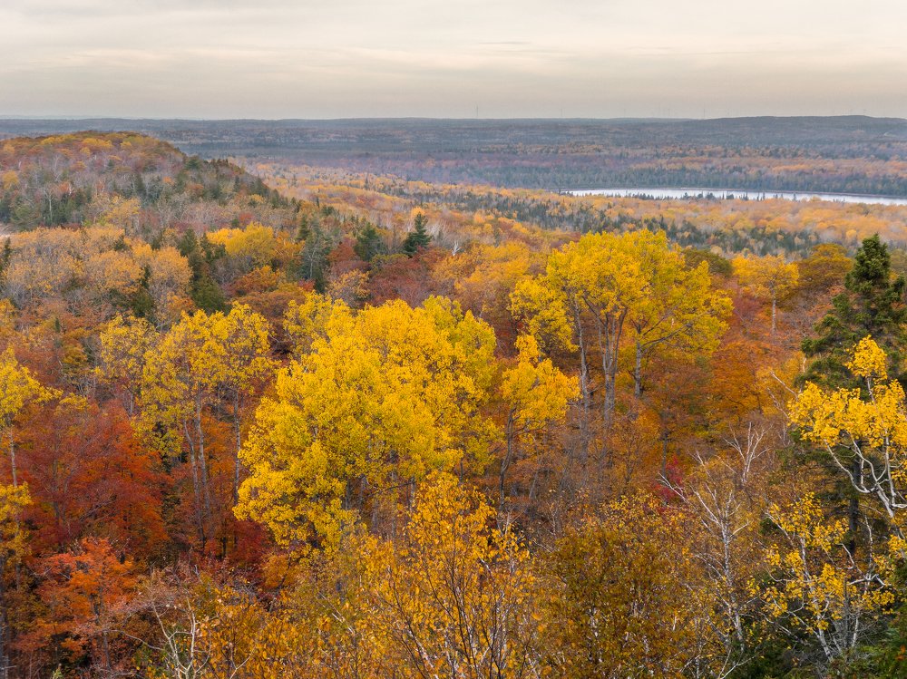 Cup and Saucer Hiking Trail on Manitoulin Island