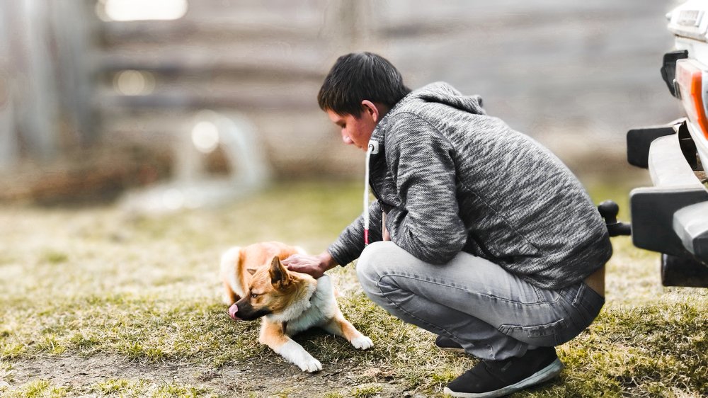 Photograph by Олег Мухачев