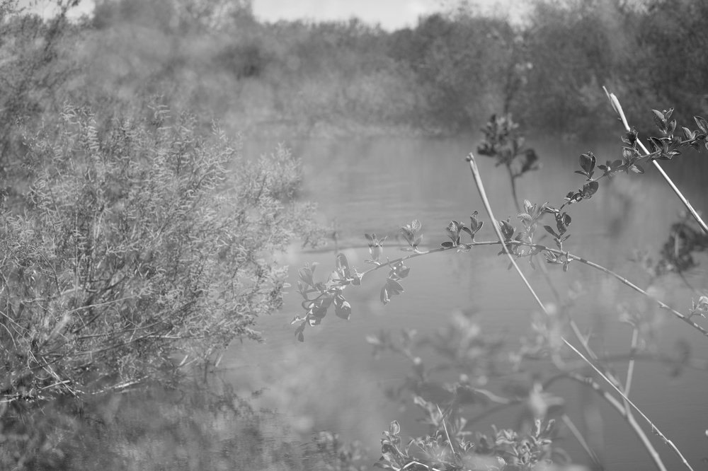 Фантазии природы