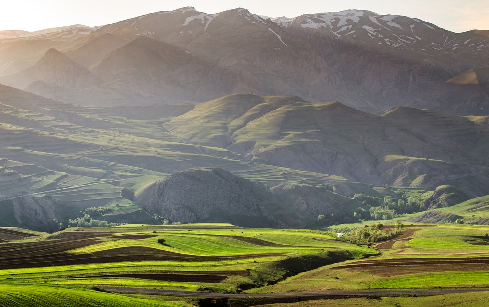 Photograph by Mohammad Amirahmadi