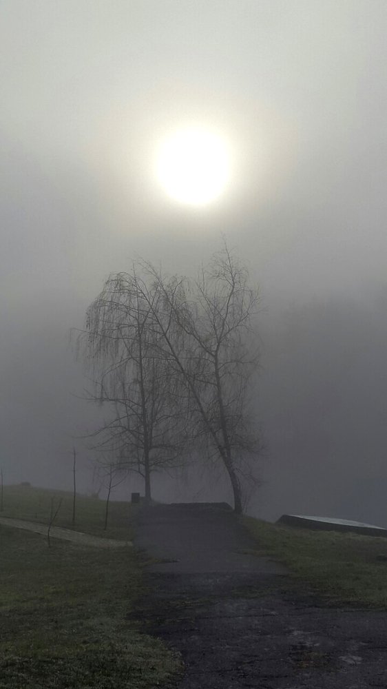 Утро туманное