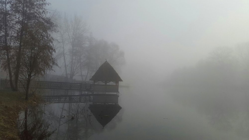 Утро туманное