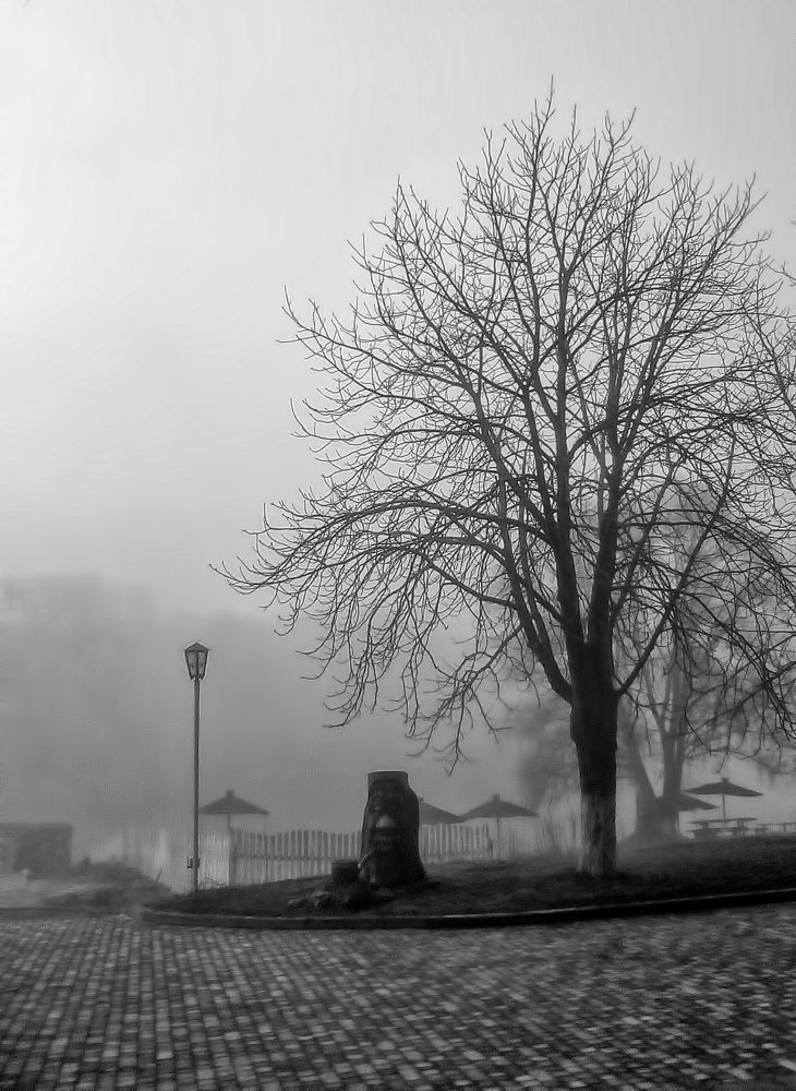 Весеннее утро