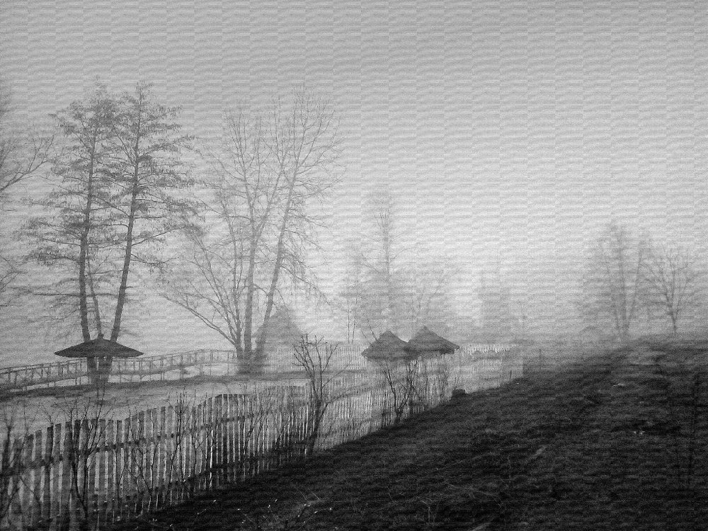 Весеннее утро