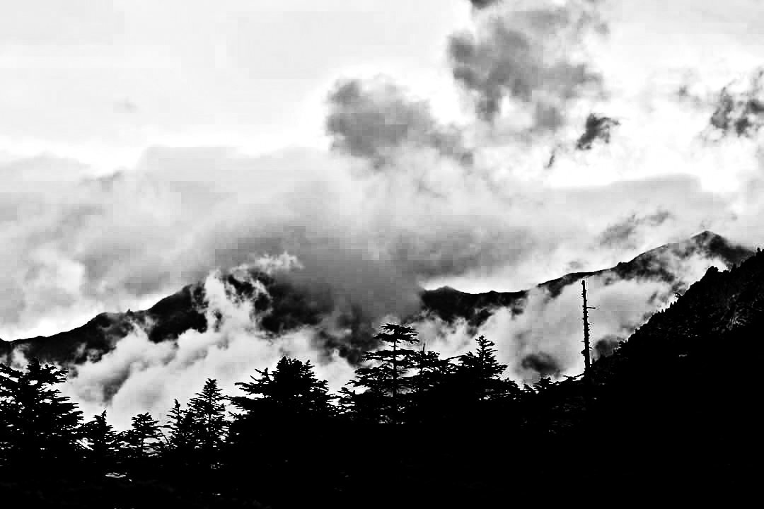 Photo #3236664