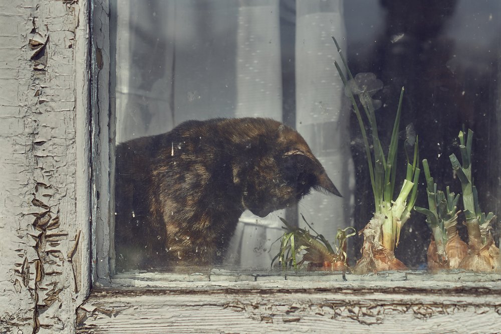 Photograph by Ирина Секачева