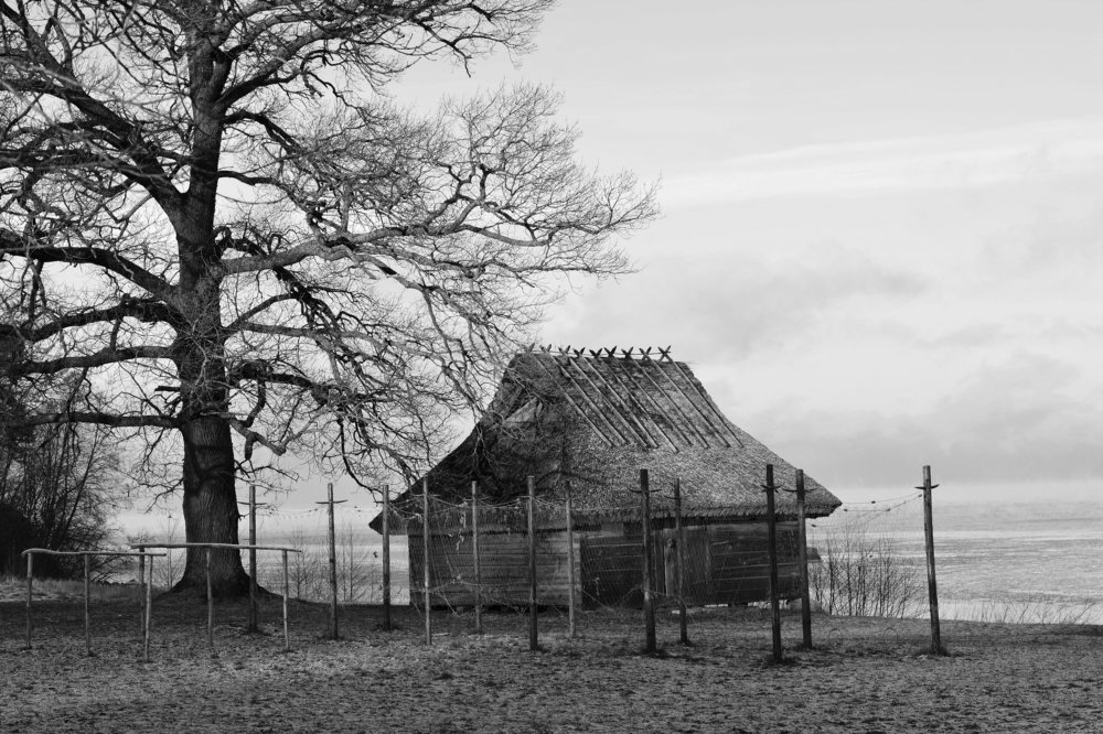 Photograph by Анатолий Орлов