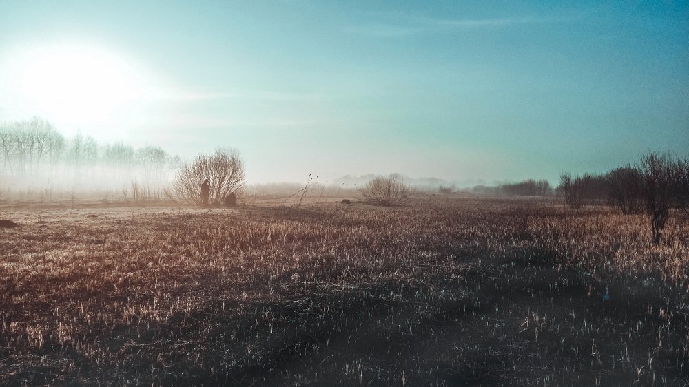 Лучи утренней мглы