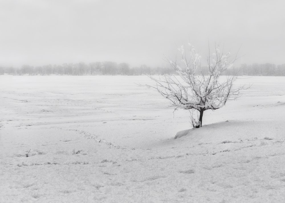 Одиночество