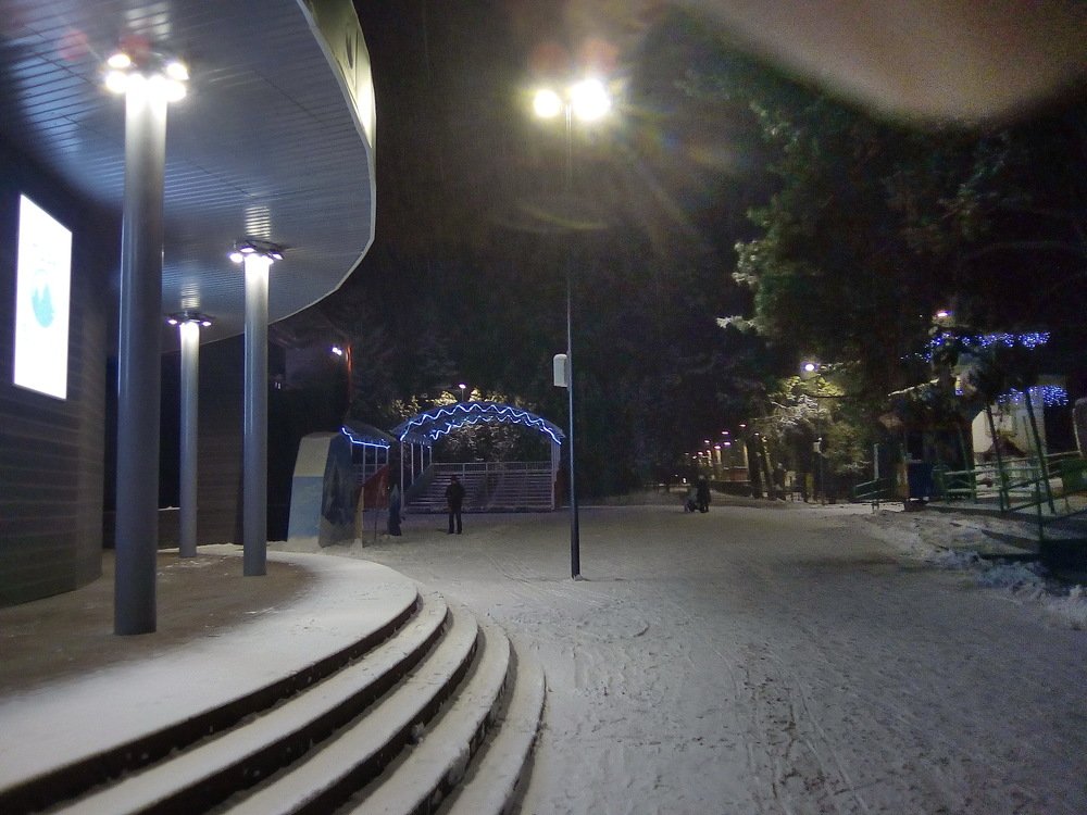 Ночь в парке