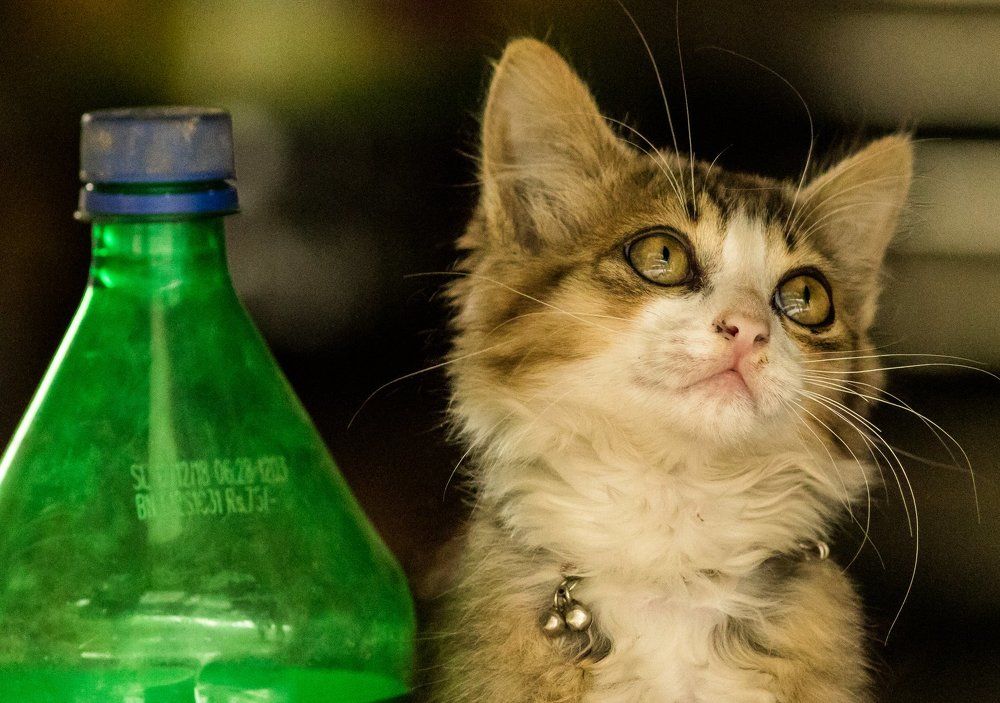 A drink for me too, please!